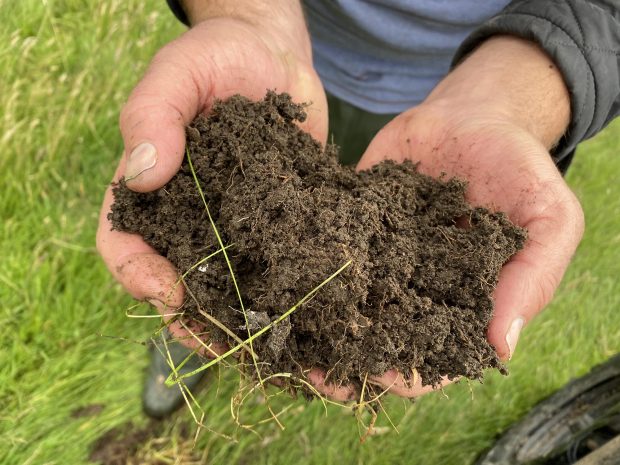 A person holding a heap of soil in their hands